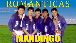 Grupo Mandingo Mix Romanticas 2024 ❤️ Sus Mejor Exitos Del Grupo Mandingo [upl. by Zerat]