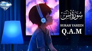 Discover SLEEPY CALMNESS with Soothing Quran Recitation of Surah Yaseen [upl. by Donald400]