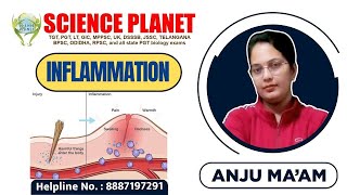 INFLAMATION II BY ANJU MAM II SCIENCE PLANET II [upl. by Critchfield309]