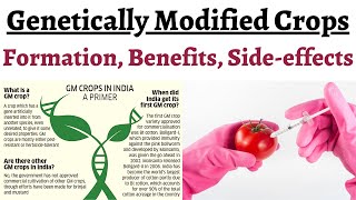 What are Genetically Modified Crops amp how are they made Comparison with Conventional Breeding tech [upl. by Delgado]