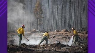 Wapiti fire now 71 contained 16 rise from Tuesday [upl. by Laks761]