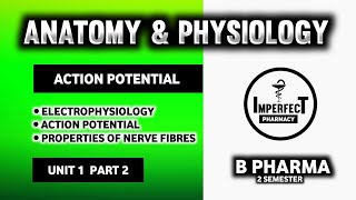 Action Potential  Electrophysiology  Nerve Impulse  Properties Of Nerve Fibres  Nervous System [upl. by Eanrahc717]