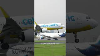 CEBU PACIFC A321 NEO landing at Manila Airport shorts aviation plane a321 landing manila [upl. by Kyre]