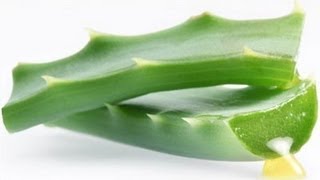 GASTRITIS SOLUCION ALOE VERA SAVILA [upl. by Anabal]