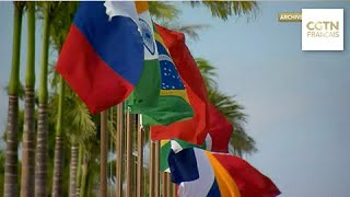 POINT DE VUE AFRICAIN Les BRICS apportent une alternative au système économique mondial [upl. by Alleyne]