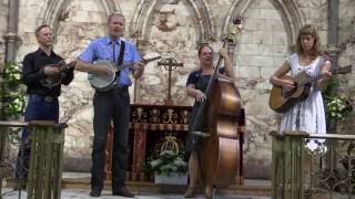 The FOGHORN STRINGBAND quotTrials Troubles Tribulationsquot Westport Folk amp Bluegrass Festival 2016 [upl. by Anaihk]