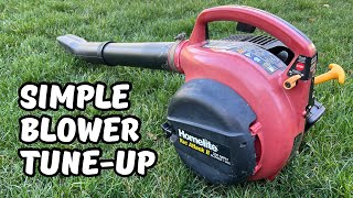 Easy TuneUp on a Homelite Vac Attack II Leaf Blower [upl. by Aita]