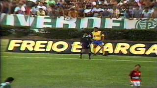 FLAMENGO 2X1 PALMEIRAS BRASILEIRÃO 1992 HM [upl. by Odlanier]