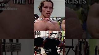 Listen to the 3 exercises that gave Arnold these big chests shortsviral shorts youtubeshorts [upl. by Gipps659]