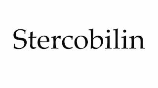 How to Pronounce Stercobilin [upl. by Atirehc512]