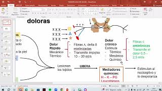 📚Clase 23 Parte III Fisiopatología del Dolor Dr Aguilar [upl. by Johansen]