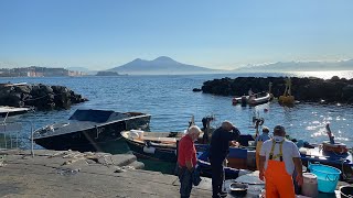 TOURISTAS 🇮🇹  NAPOLI  MARE E VESUVIO LIVE [upl. by Ayor]