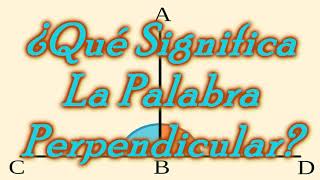 ¿Qué Significa La Palabra Perpendicular [upl. by Ecirtam744]