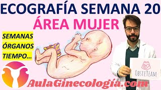 ECOGRAFÍA SEMANA 20 ⏰ MORFOLÓGICA ÓRGANOS 🧠 MALFORMACIONES    Ginecología y Obstetricia [upl. by Sema671]