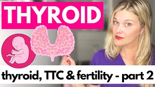 THYROID amp FERTILITY Part 2  Trying to Conceive Fertility Pregnancy and Miscarriage [upl. by Lethia798]