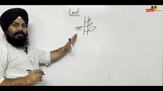 Morphology of Flowering Plants Lecture 03 [upl. by Amluz797]