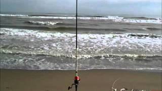 Dove lanciare lesca a surfcasting [upl. by Seavey]