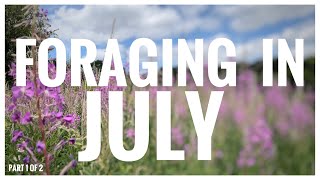 Foraging in July Part 1 of 2  UK Wildcrafts Foraging Calendar [upl. by Edelson]