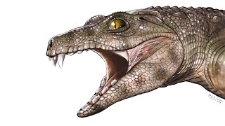 Chimaerasuchus A Herbivorous Crocodylomorph From Prehistoric China [upl. by Aynna502]