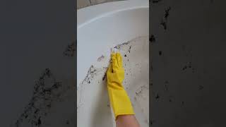 How To Deep Clean Your Jet Tub [upl. by Ettenad]