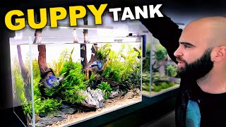 Medium Tech amp Budget Guppy Nature Aquarium Full Tutorial [upl. by Aekin]