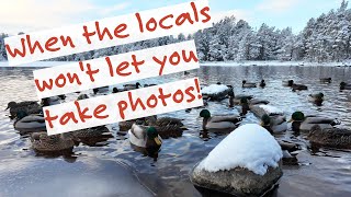 Battling with the LOCALS in the Cairngorms [upl. by Edlun]