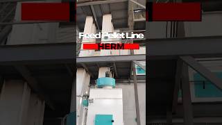 Manufacturer of Fully Automatic 57TH Feed Pellet Production Lines from China  Herm Machinery [upl. by Enetsirhc]