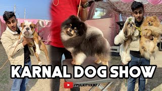 international dog show in india  cheapest dog market india [upl. by Esinwahs]