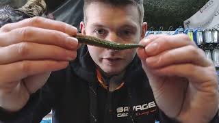 New Gulp Ragworm For Bait amp Lure Fishing [upl. by Aivataj]