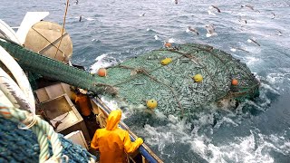 Life On Largest Midwater trawling Vessel  Fishing trip on trawler the High Sea 03 [upl. by Nnywg]