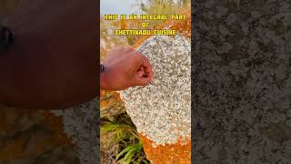 Stone flower  stoneflower spices spice travel viralvideo stones mountains mountaincalling [upl. by Dnomar753]