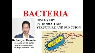 Bacteria Introduction Structure and Function Discovery [upl. by Yeznil495]