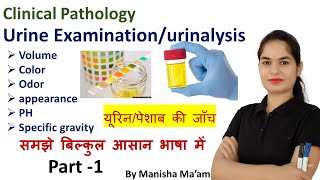 Urine examination  Part1  urinalysis in hindi  urine analysis  Examination of urineयूरिन टेस्ट [upl. by Ydak344]