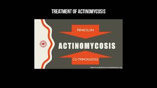 Treatment of actinomycosis actinomyces actinomycosis infection [upl. by Reinertson587]