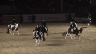 REITEN und ZUCHTVideo Lewitzer Quadrille [upl. by Kenrick]