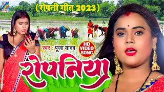 रोपनिया  Ropaniya  Pooja Yadav धान रोपनी गीत  Bhojpuri Ropni Geet Video [upl. by Nomled]