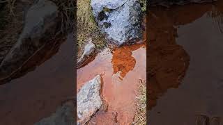 Red water source on Grimmialp in Swiss Alps [upl. by Vere762]