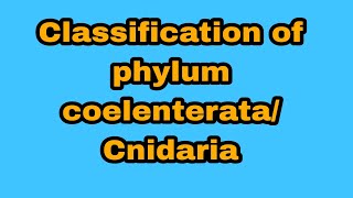 Classification of phylum coelenterataCnidaria BsBsc 1st year [upl. by Montano672]