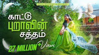 காட்டு புறாவின் சத்தம்  Kaatupuravin Saththam  4K  New Christian Song  Jesus Redeems [upl. by Acinej411]