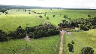 FAZENDA À VENDA ARAGUAÍNATO [upl. by Kelvin588]