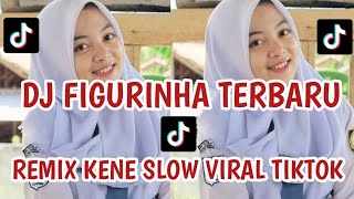 DJ FIGURINHA REMIX SLOW VIRAL TIKTOK [upl. by Aketahs934]