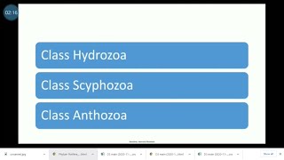 Class Hydrozoaexplanation in Malayalam [upl. by Odey714]