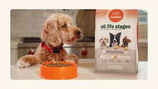 Canidae All Life Stages  Great Nutrition For MultiDog Families [upl. by Eitsrik]