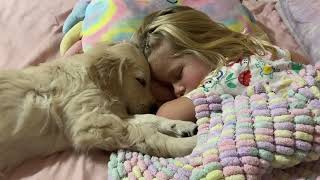 Adorable Golden Retriever Puppy Puts Little Girl To Bed Cutest Ever [upl. by Elrebmik]