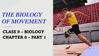 9TH STANDARDBIOLOGYCHAPTER 6THE BIOLOGY OF MOVEMENTPART 1VOLUNTARY amp INVOLUNTARY MOVEMENTS [upl. by Eibmab702]