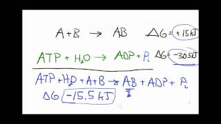 Lets Think about reaction coupling [upl. by Pallaten]