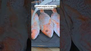 Comment préparer un délicieux poisson frit à la ferme poissonfrit recette food shorts friture [upl. by Pavkovic]