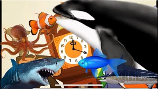 Hickory Dickory dock Orca 🐋 [upl. by Sartin]