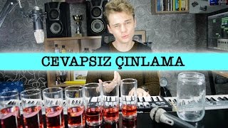 Cevapsız Çınlama COVER [upl. by Jordison]