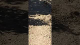 Video of Deep Creek Hot Springs Campground CA from Jake P [upl. by Diana]